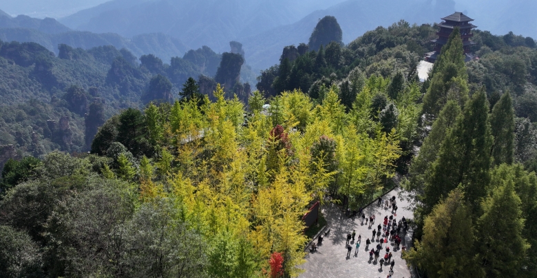 正是秋游好時(shí)節(jié)