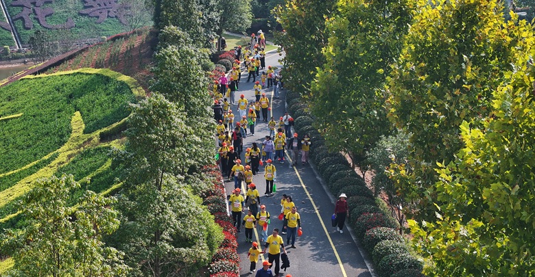 安化“走娃”，“走”近茶香