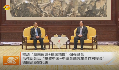 視頻丨推動“湖南智造+德國精度”強強聯...