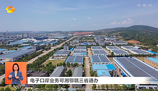 視頻丨電子口岸業務可湘鄂贛三省通辦